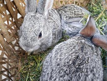 《星际：异端先知》预告片暗含多处彩蛋 致敬工作室历史